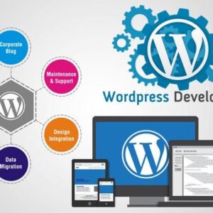 WordPress Development