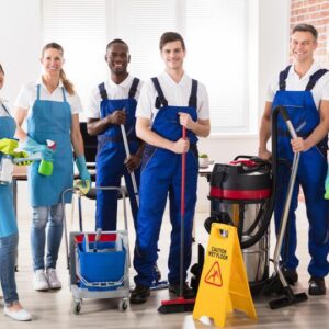 cleaning-service-dss