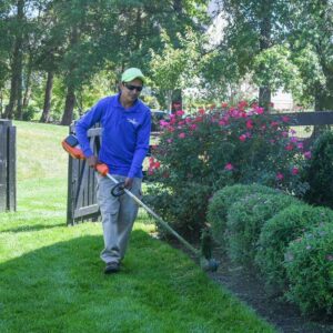 landscaping