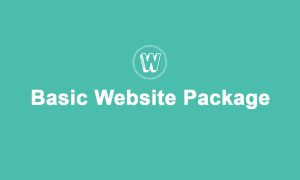 Basic-Website-Package-Social