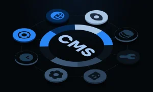 Content Management System (CMS)1