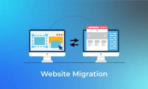 Website Migration