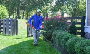 landscaping