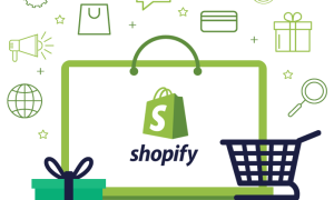 shopify-development