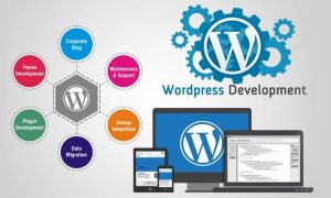 wordpress